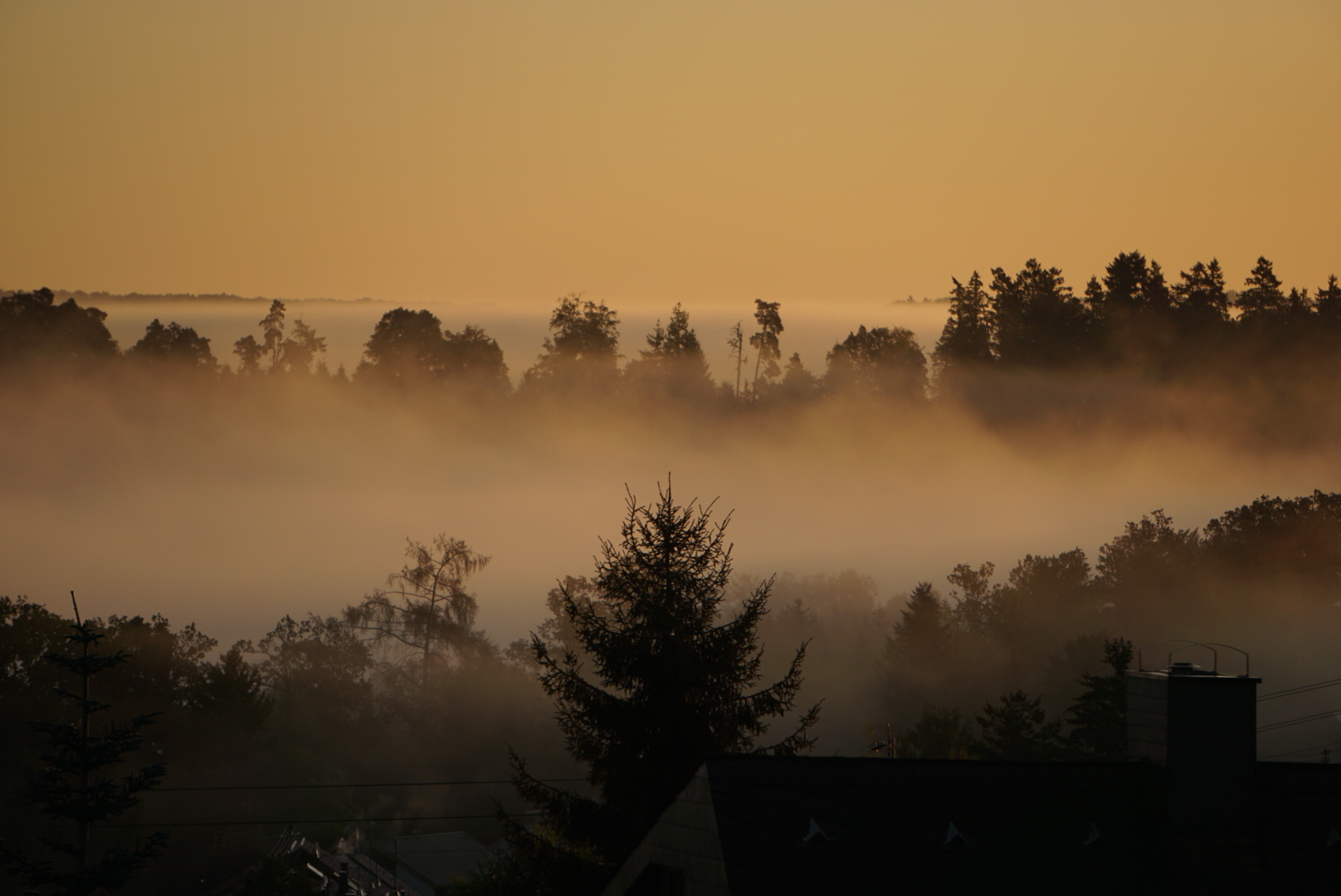 What the Black Forest Is Known For